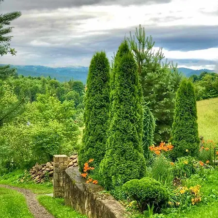 Hébergement de vacances La Vіta *