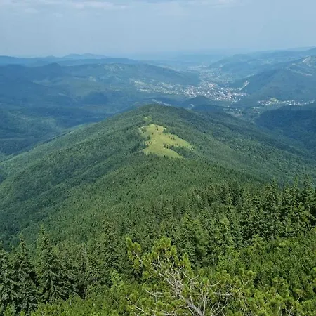 La Vіta Яремча