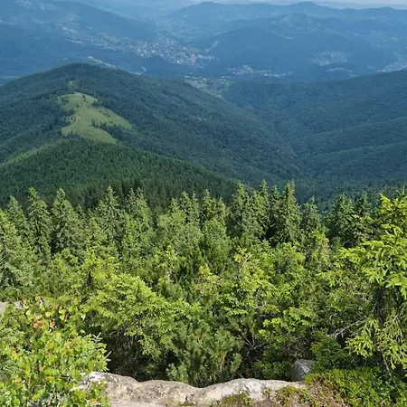 Hébergement de vacances La Vіta *