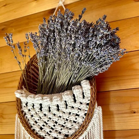 Hébergement de vacances La Vіta Yaremtche