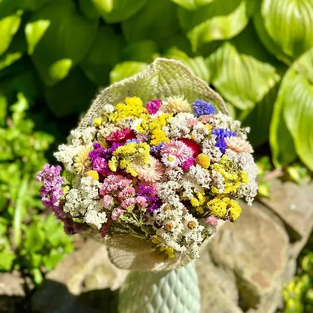 La Vіta Hébergement de vacances *