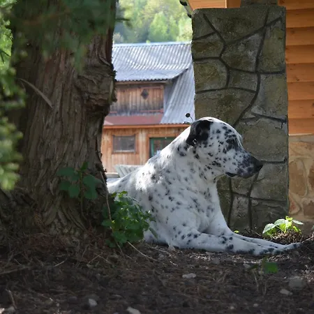 Casa vacanze La Vіta Jaremče