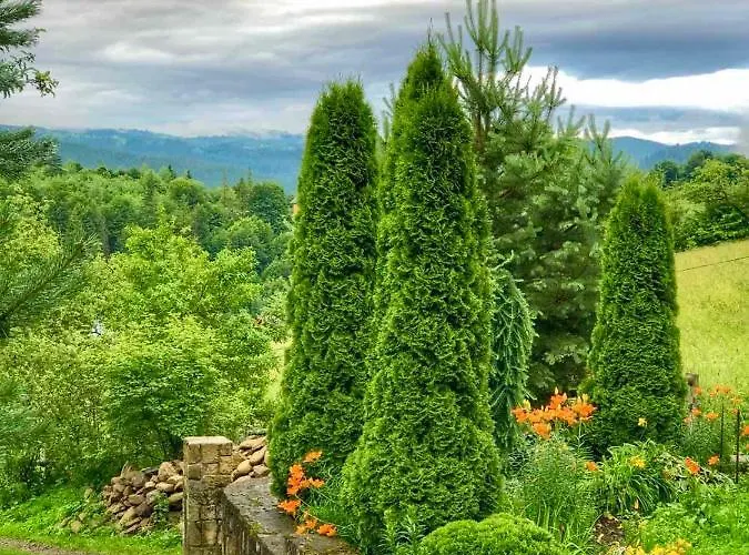 Tatil Evi La Vіta *