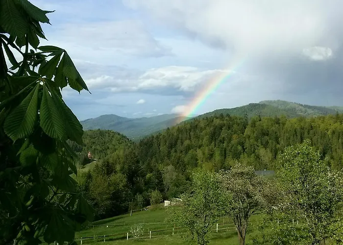 La Vіta Tatil Evi