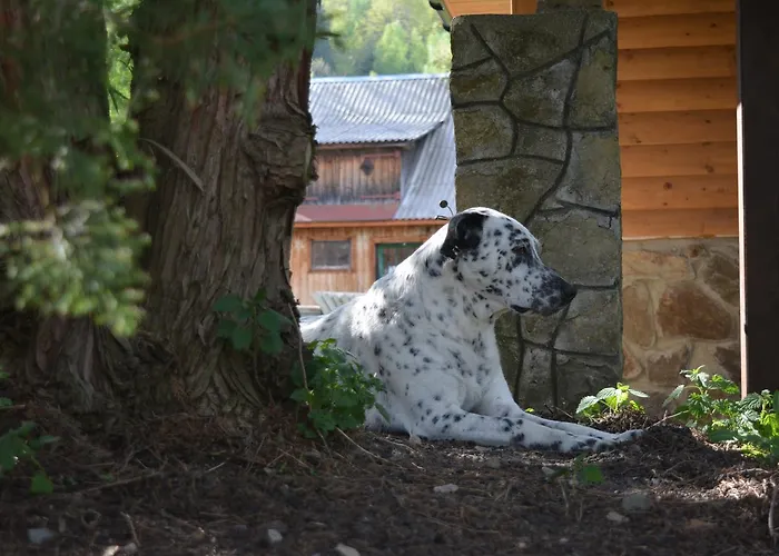 Tatil Evi La Vіta Yaremche