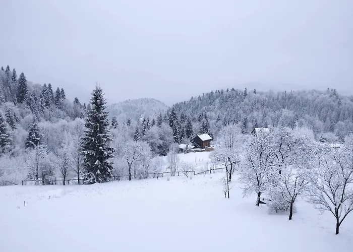 La Vіta